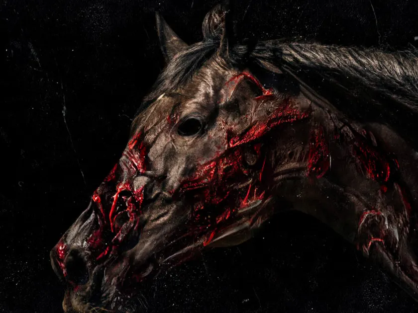 Ain't no Stallion single artwork